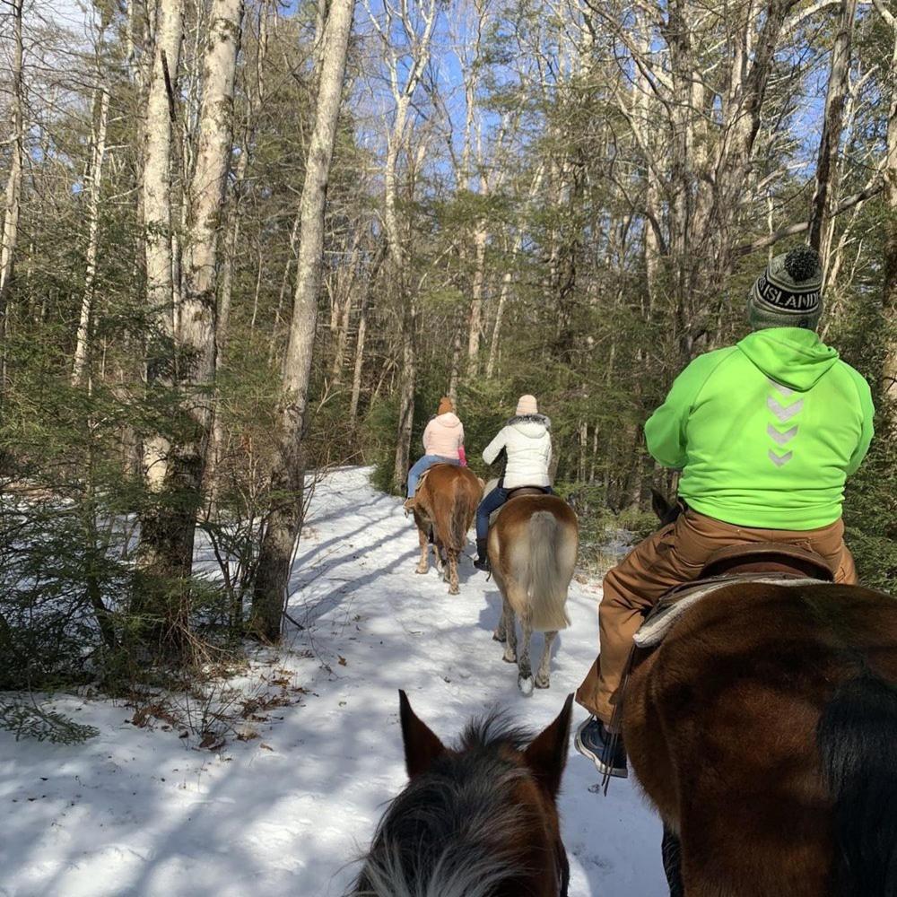 Holiday home Wow!! Ultimate Pocono Retreat, Hot Tub, Game Room, Deck, Lakes, Skiing, Pools
